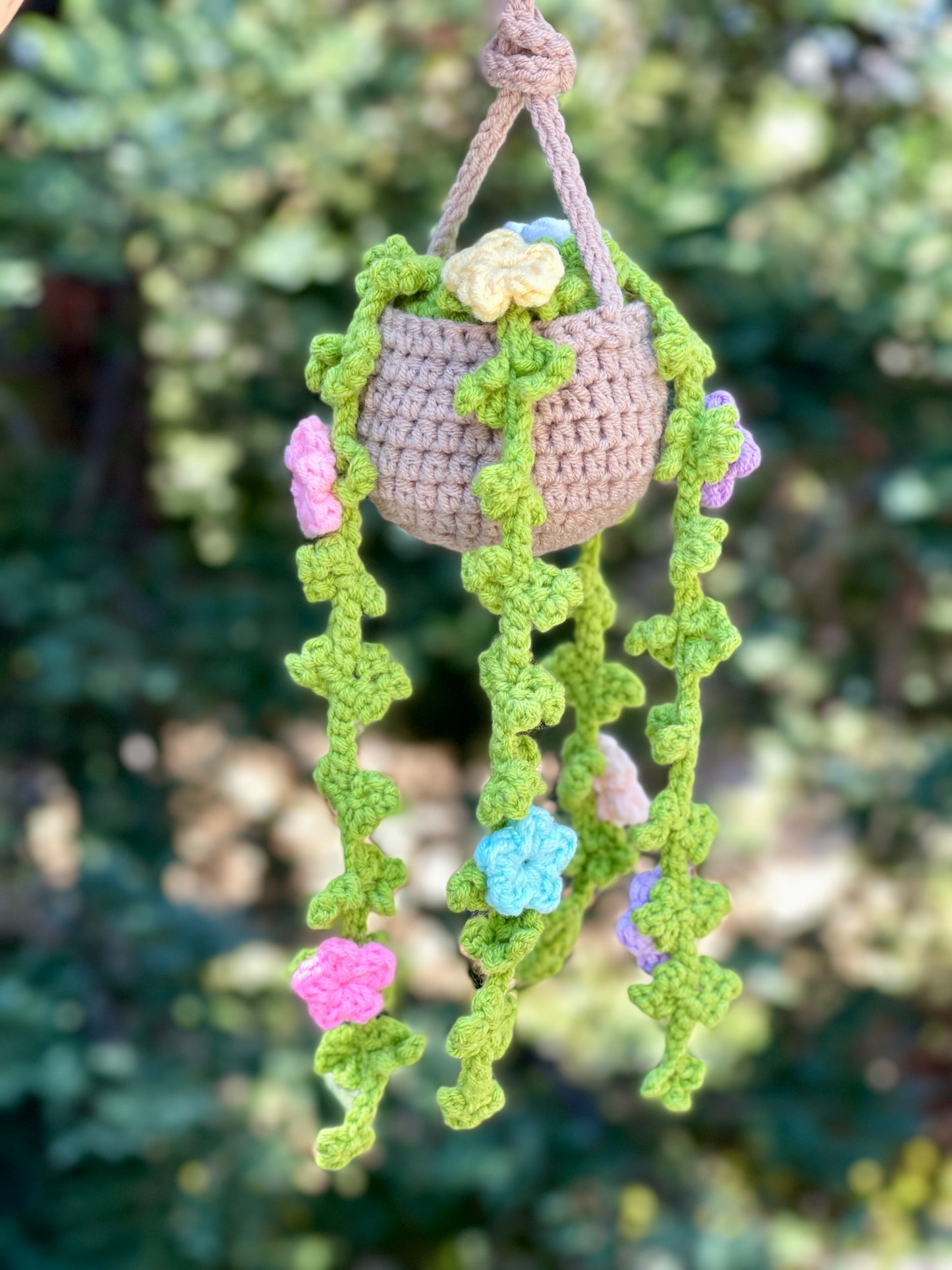 Multicolor Crochet Hanging Plant Pot