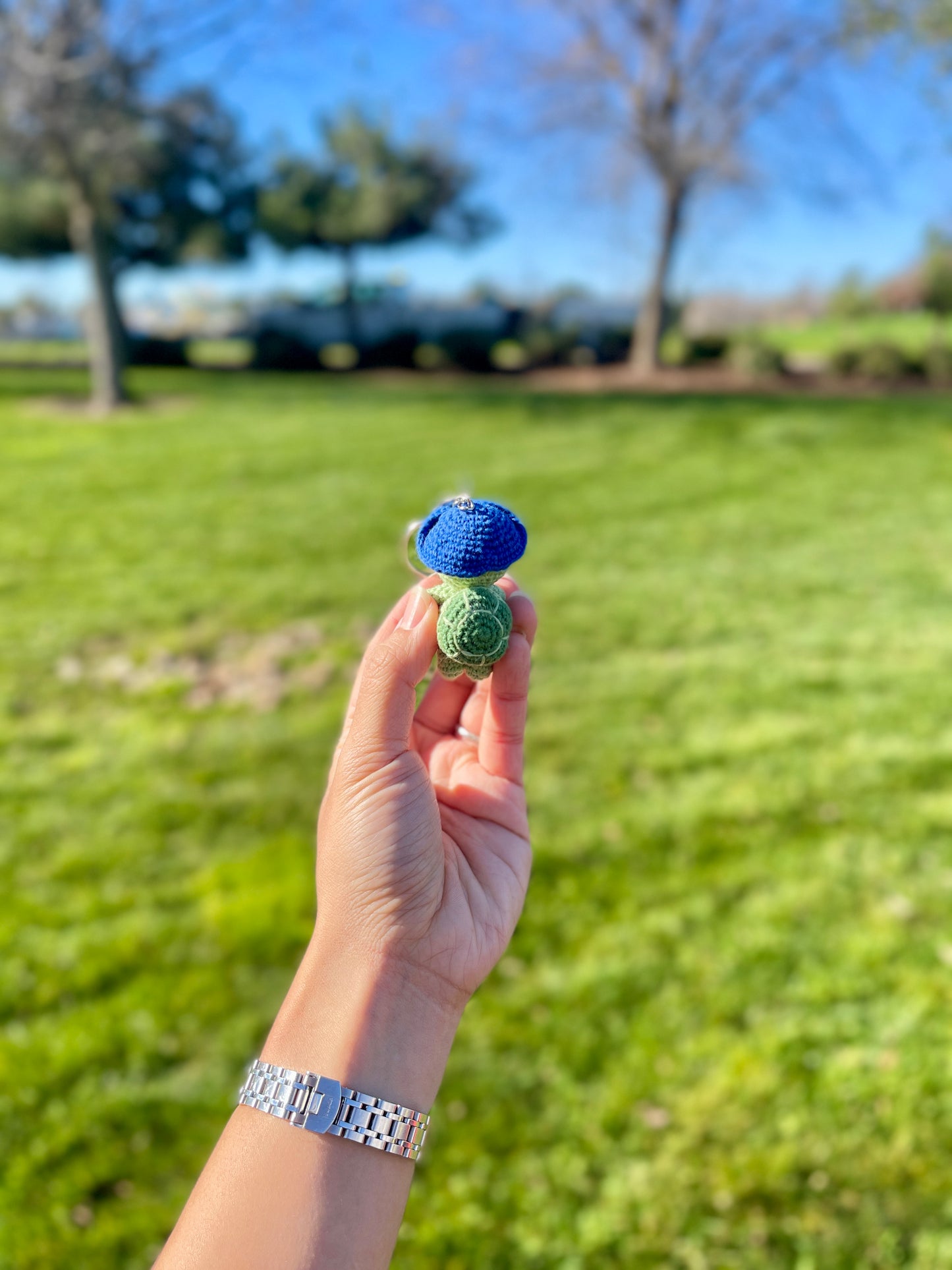 Adventure Turtle Crochet Keychain