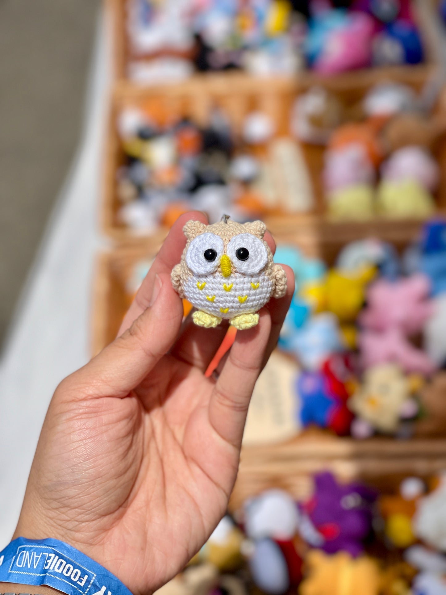 Baby Owl Crochet Keychain