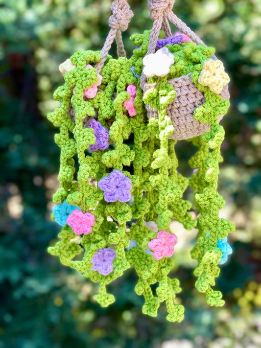Multicolor Crochet Hanging Plant Pot