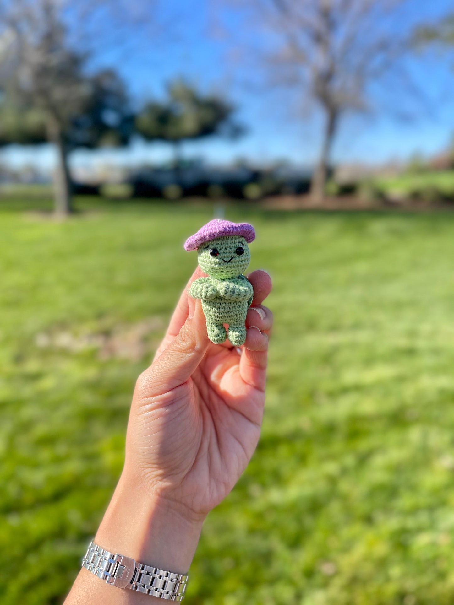 Adventure Turtle Crochet Keychain