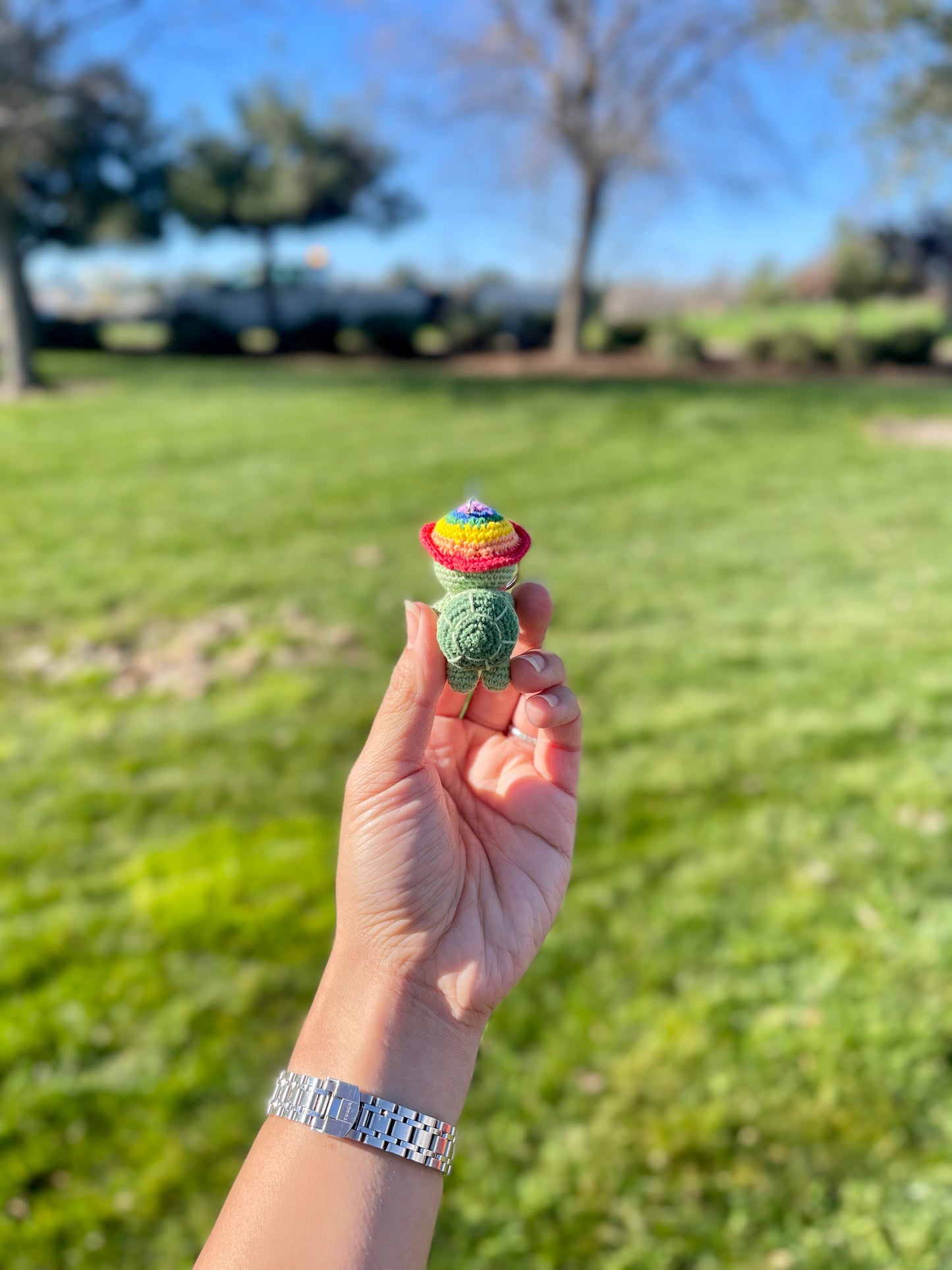 Adventure Turtle Crochet Keychain