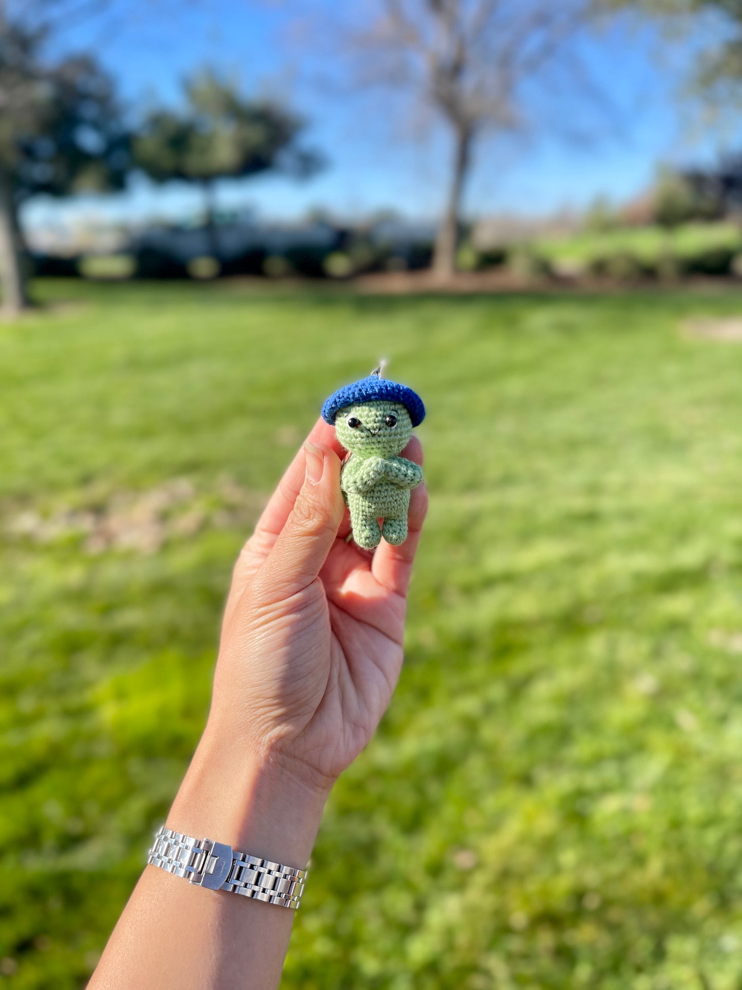 Adventure Turtle Crochet Keychain