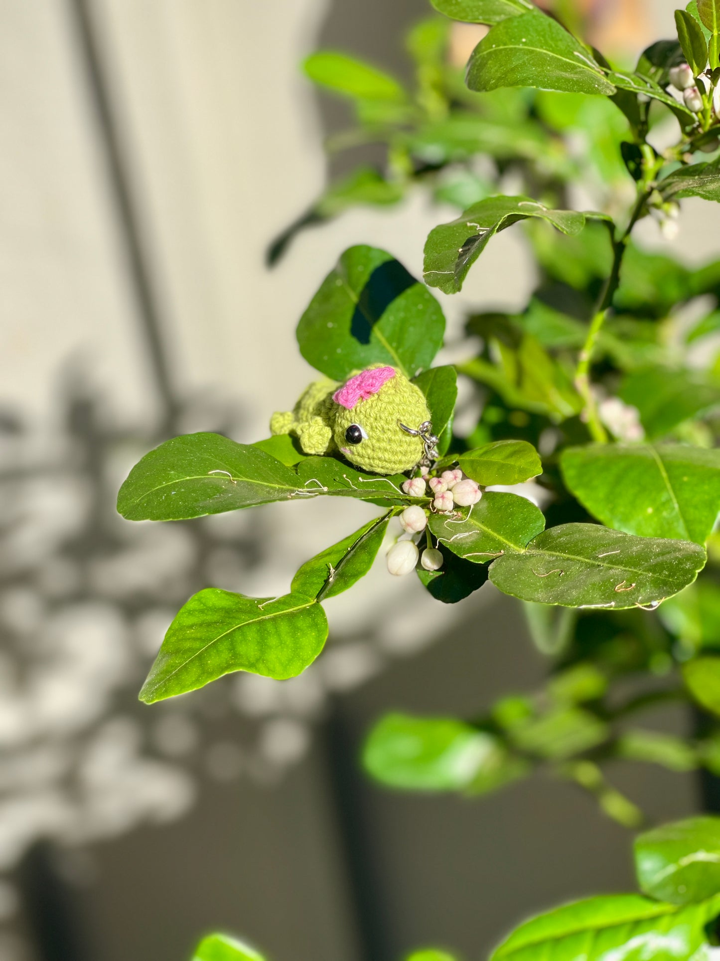 Chameleon “AKA Pascal” Crochet Keychain