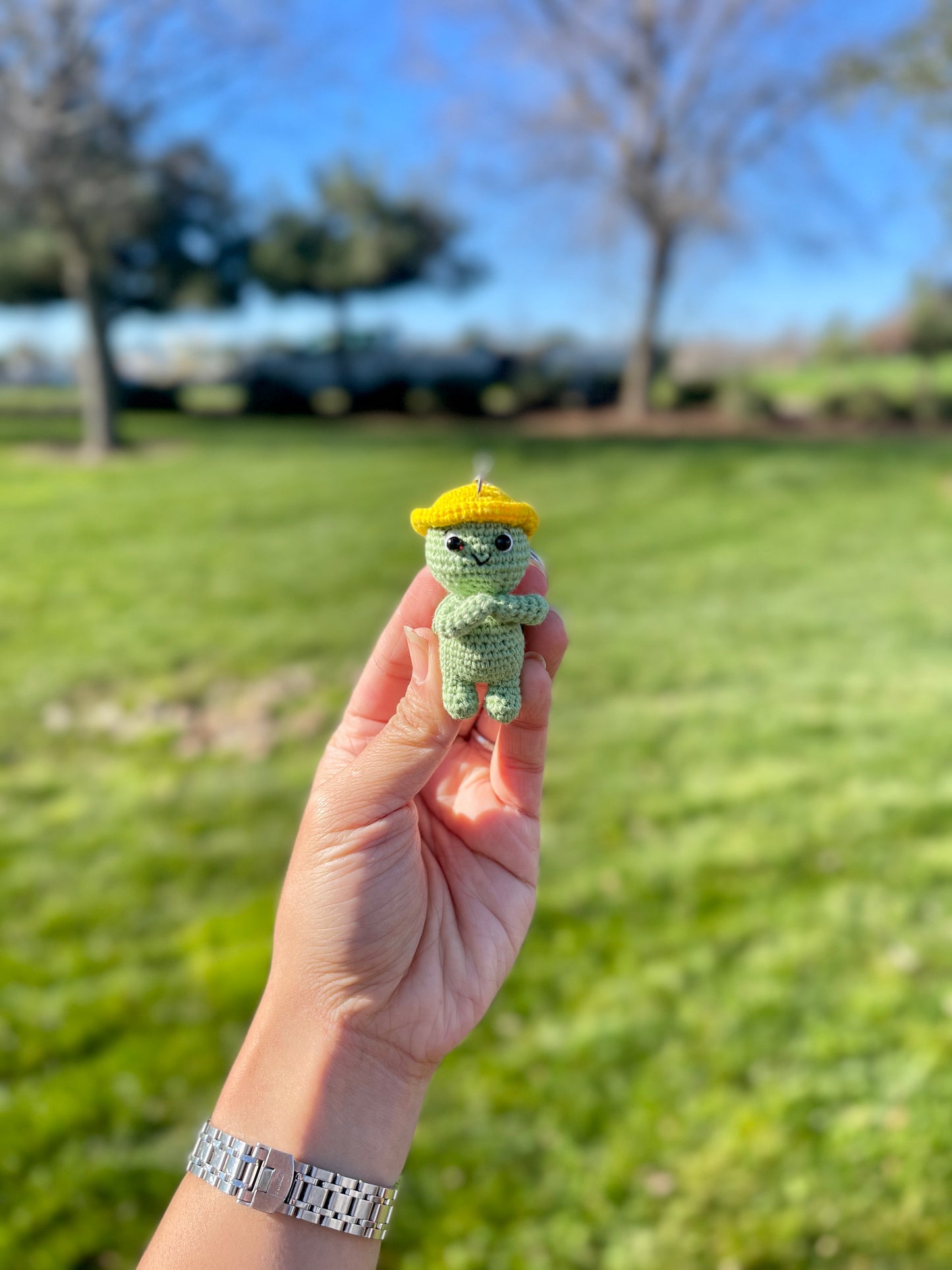 Adventure Turtle Crochet Keychain