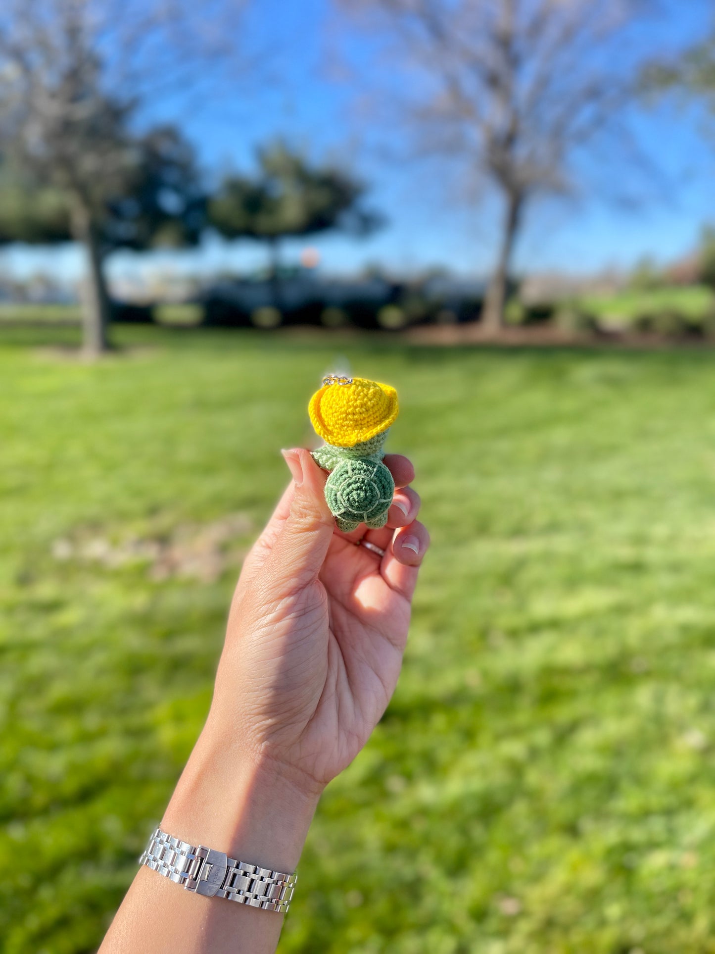 Adventure Turtle Crochet Keychain